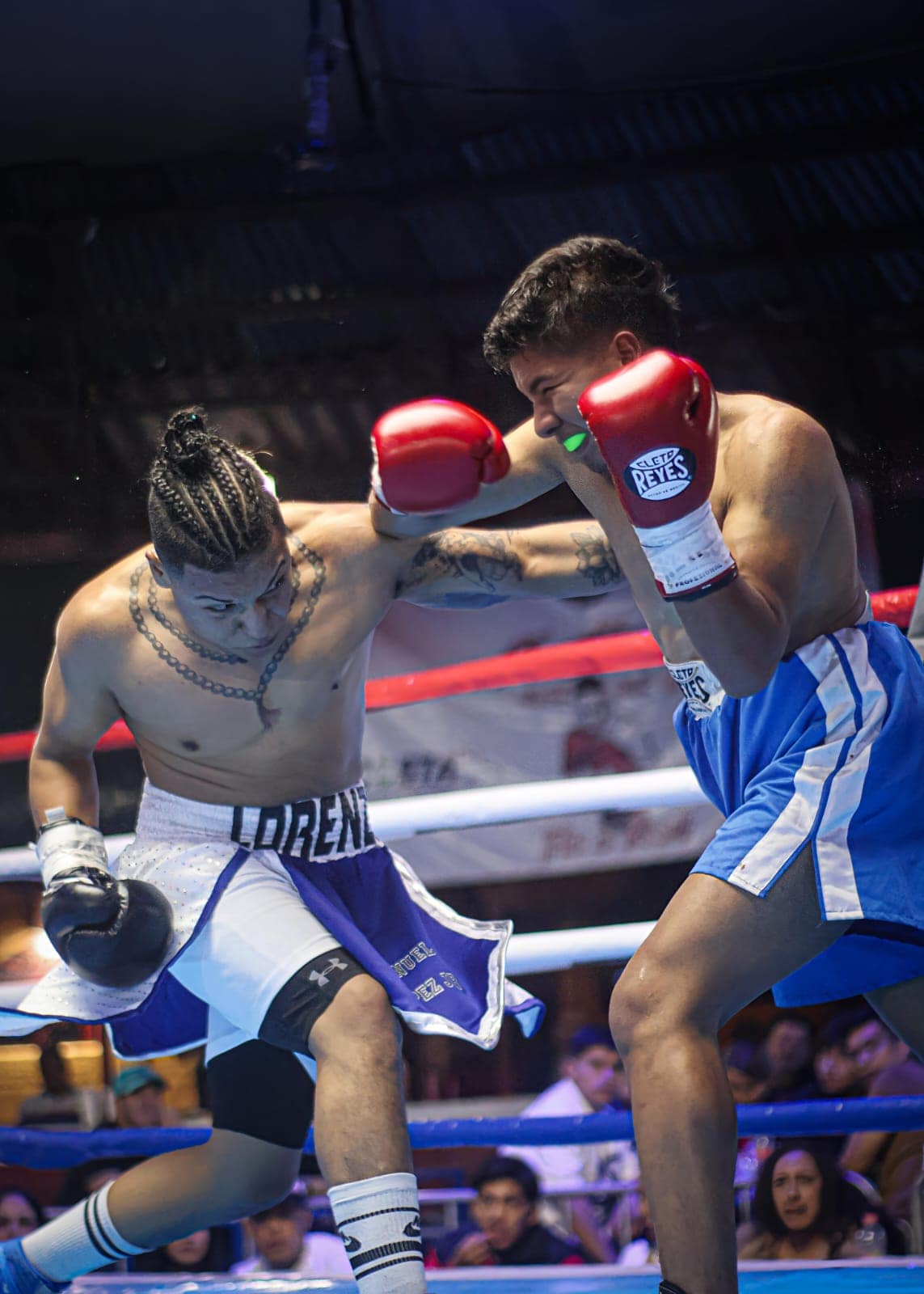 Featured image for “Furia en el Ring: una noche de pasión, talento y grandes batallas.”